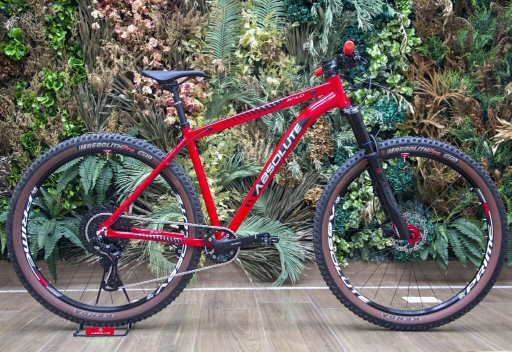 Bicicleta Absolute. Image: site oficial da marca